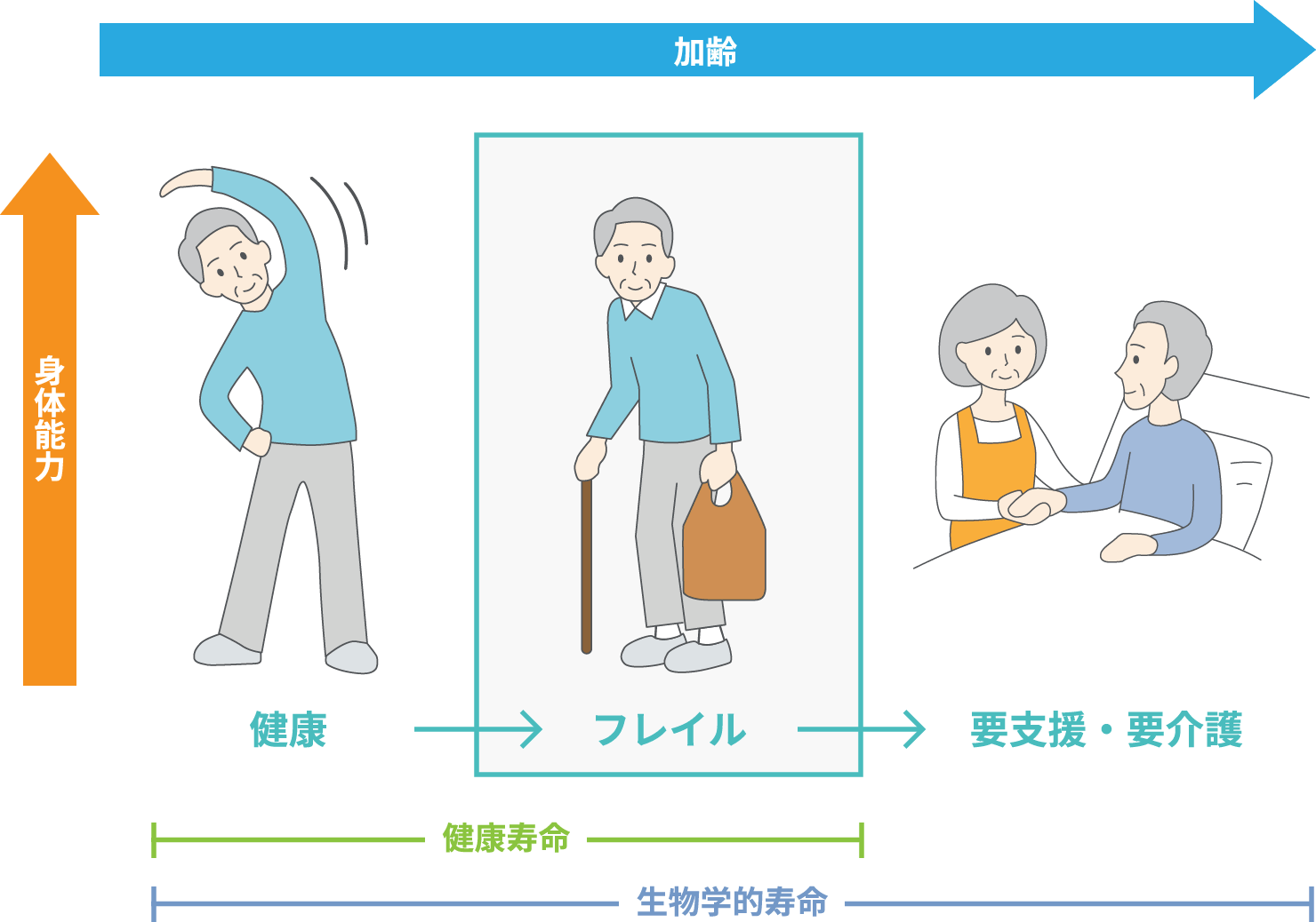 図1．フレイルは要支援・要介護の前段階