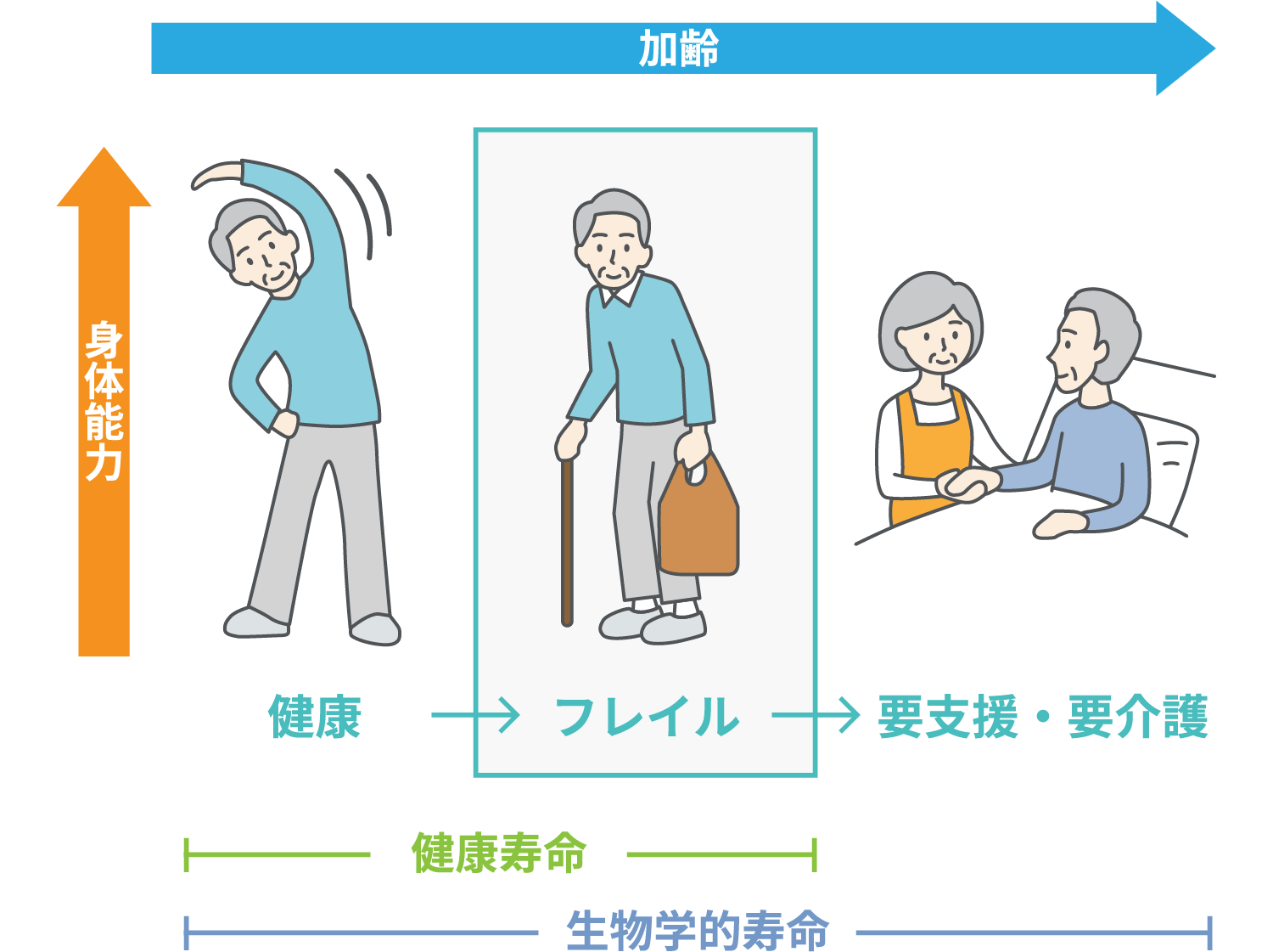 図1．フレイルは要支援・要介護の前段階