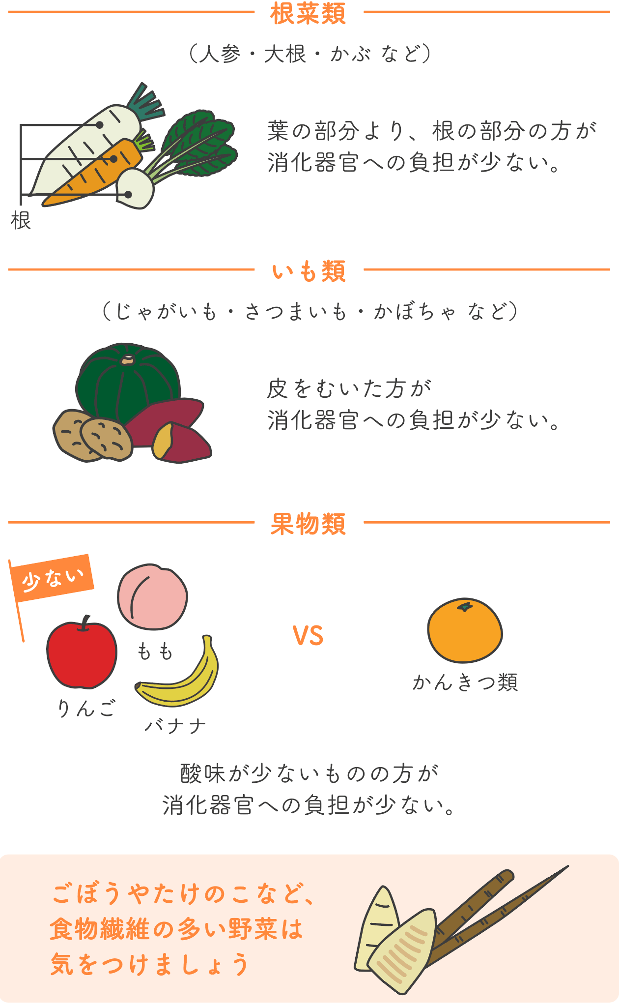 野菜・果物の比較イラスト