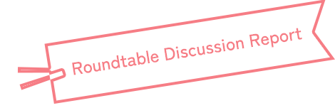 Roundtable Discussion Report