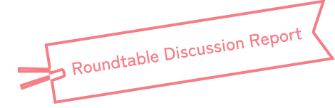 Roundtable Discussion Report