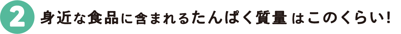 2：身近な食品に含まれるたんぱく質量はこのくらい!