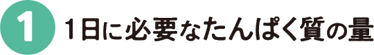 1：1日に必要なたんぱく質の量