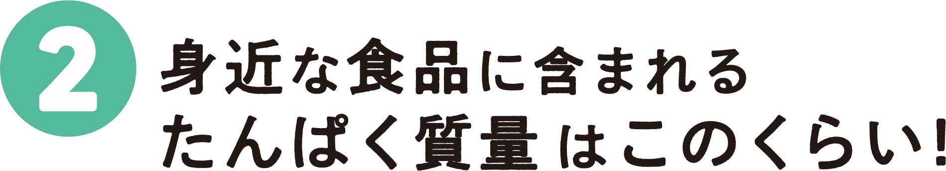 2：身近な食品に含まれるたんぱく質量はこのくらい!