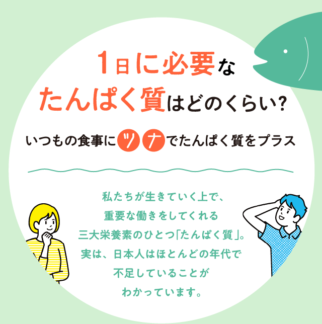 1日に必要なたんぱく質はどのくらい？いつもの食事に ツナ でたんぱく質をプラス